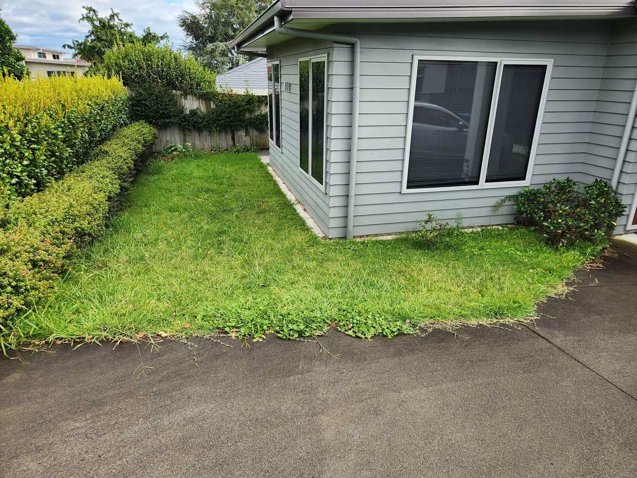 Love Thy Lawn recent work photo 1