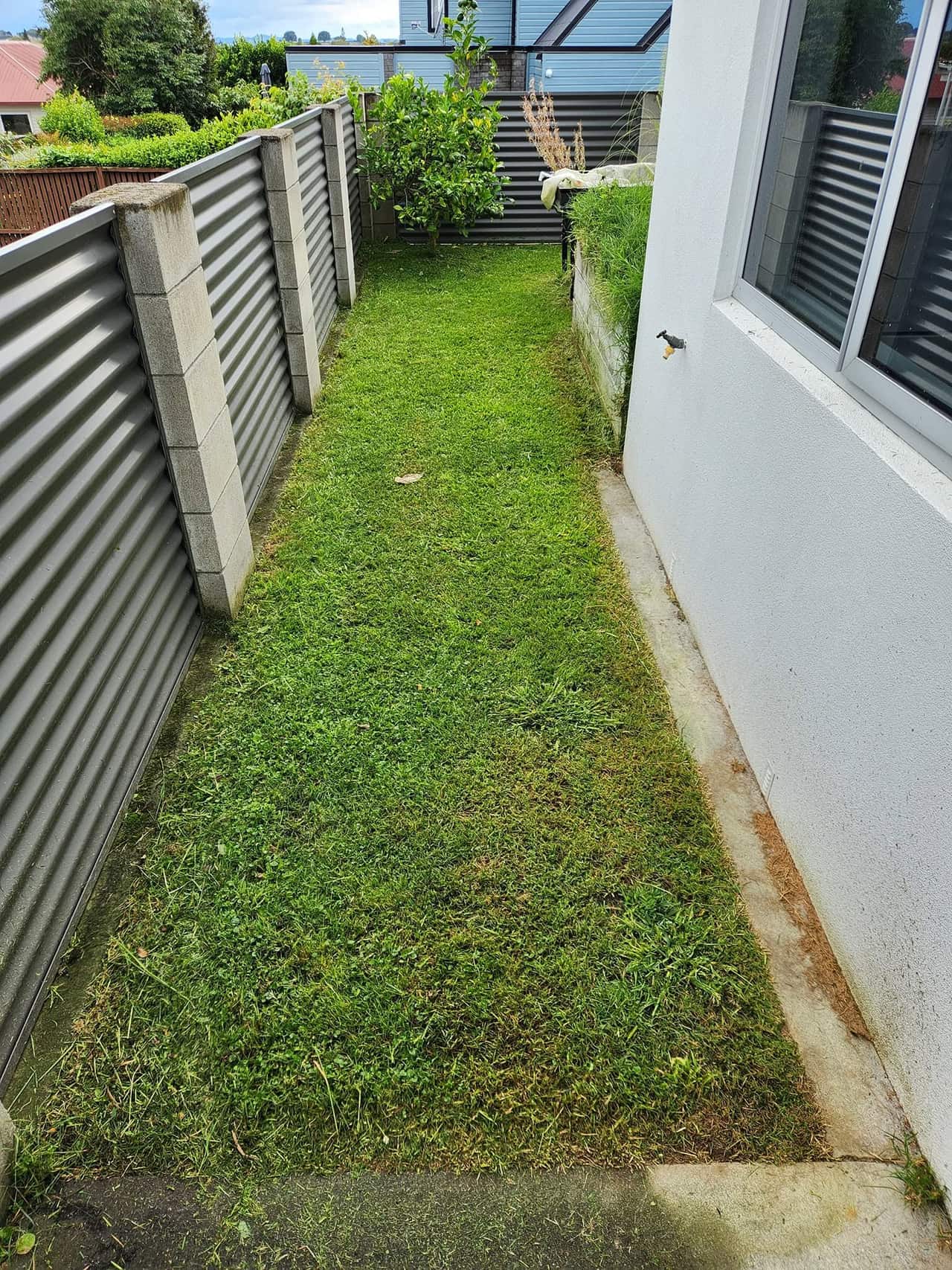 Love Thy Lawn recent work photo 4